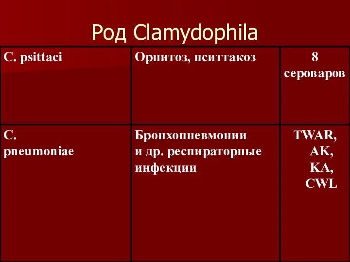 Род Clamydophila