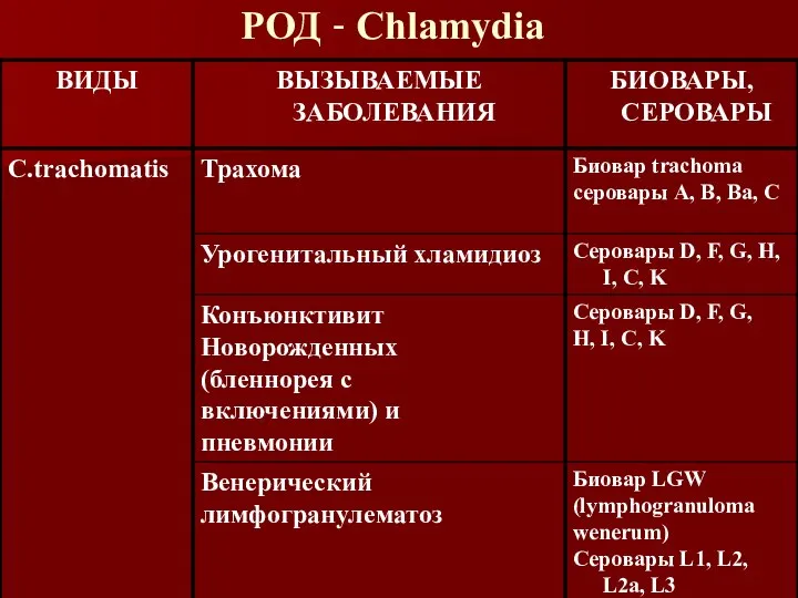 РОД - Chlamydia