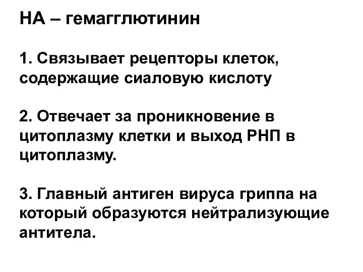 НА – гемагглютинин 1. Связывает рецепторы клеток, содержащие сиаловую кислоту 2.