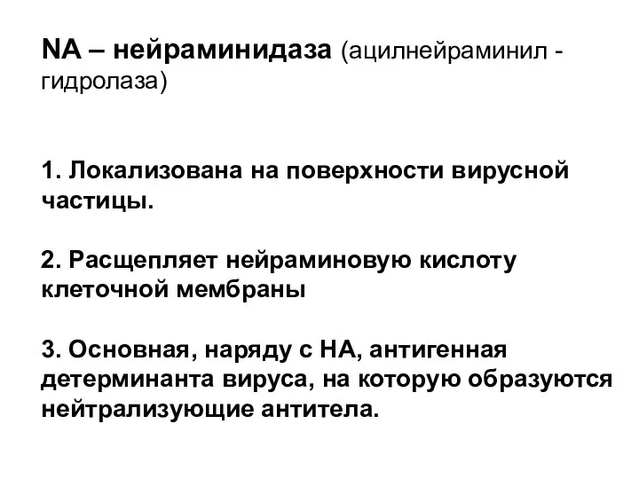 NA – нейраминидаза (ацилнейраминил -гидролаза) 1. Локализована на поверхности вирусной частицы.