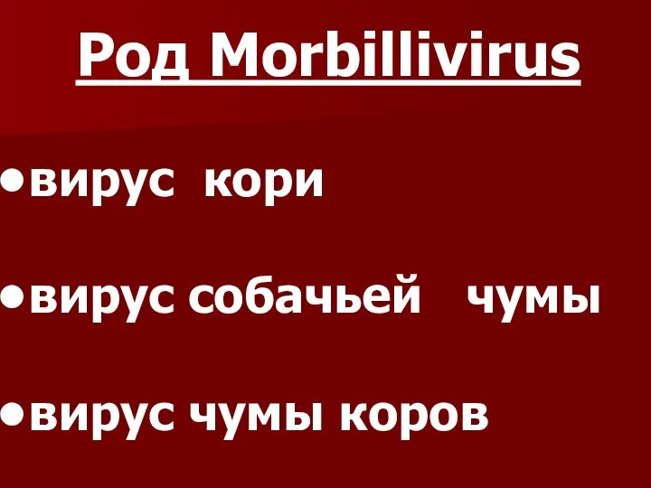 Род Morbillivirus вирус кори вирус собачьей чумы вирус чумы коров