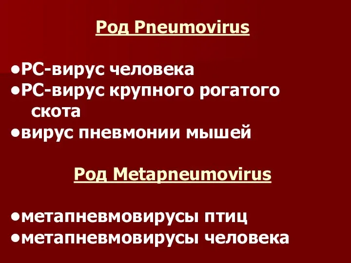 Род Pneumovirus РС-вирус человека РС-вирус крупного рогатого скота вирус пневмонии мышей