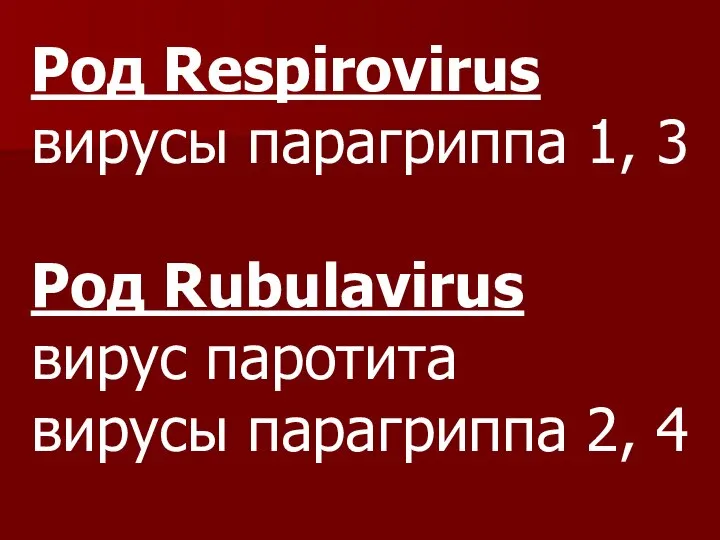 Род Respirovirus вирусы парагриппа 1, 3 Род Rubulavirus вирус паротита вирусы парагриппа 2, 4