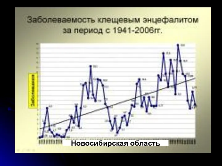 Новосибирская область