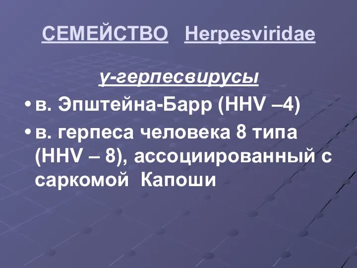 СЕМЕЙСТВО Herpesviridae γ-герпесвирусы в. Эпштейна-Барр (HHV –4) в. герпеса человека 8