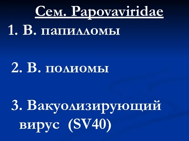 Сем. Papovaviridae В. папилломы 2. В. полиомы 3. Вакуолизирующий вирус (SV40)