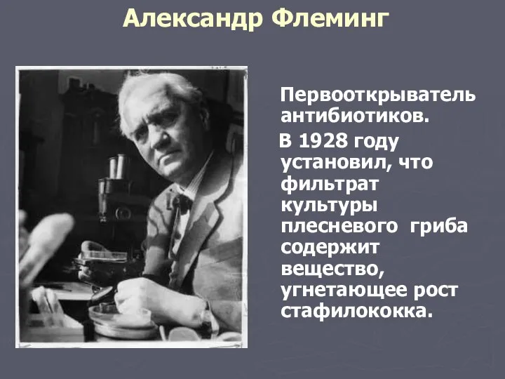 Александр Флеминг Первооткрыватель антибиотиков. В 1928 году установил, что фильтрат культуры