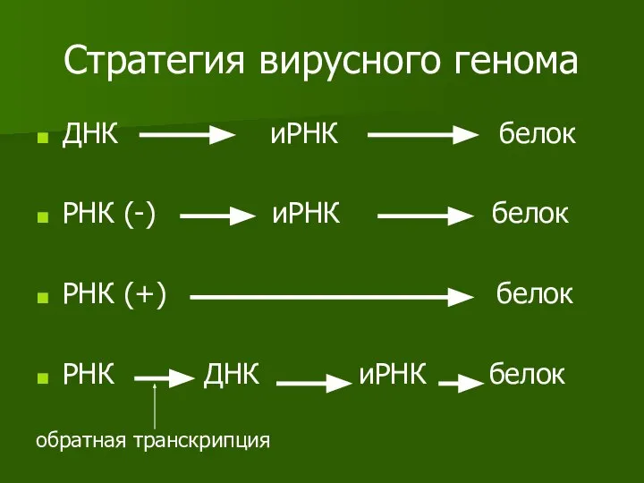 Стратегия вирусного генома ДНК иРНК белок РНК (-) иРНК белок РНК