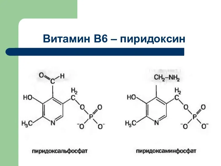 Витамин В6 – пиридоксин