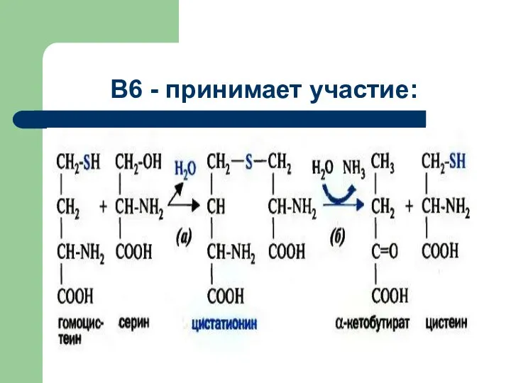 В6 - принимает участие: