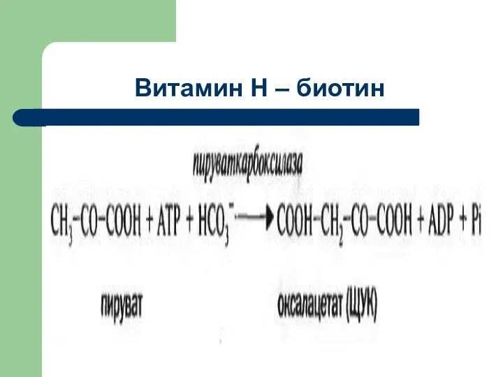 Витамин Н – биотин