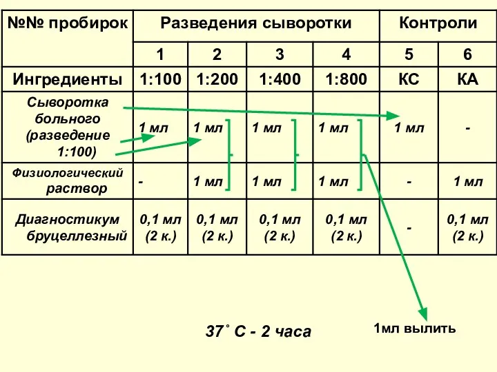 1мл вылить 37˚ С - 2 часа