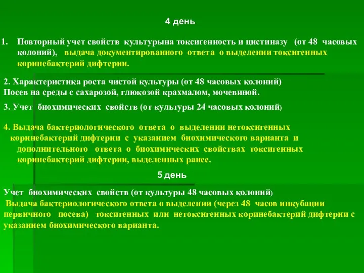 4 день Повторный учет свойств культурына токсигенность и цистиназу (от 48