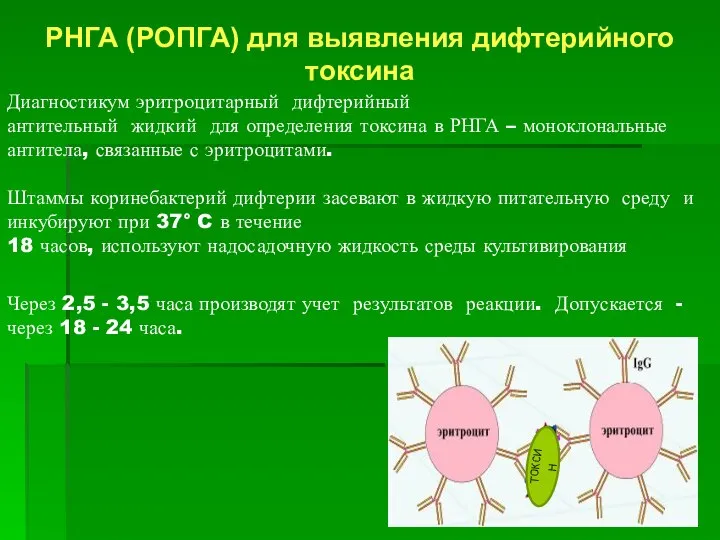 РНГА (РОПГА) для выявления дифтерийного токсина Диагностикум эритроцитарный дифтерийный антительный жидкий