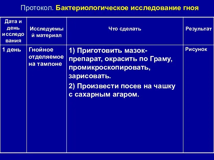 Протокол. Бактериологическое исследование гноя