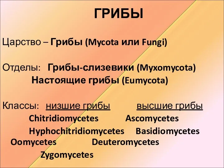 ГРИБЫ Царство – Грибы (Mycota или Fungi) Отделы: Грибы-слизевики (Myxomycota) Настоящие