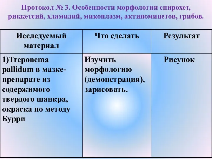 Протокол № 3. Особенности морфологии спирохет, риккетсий, хламидий, микоплазм, актиномицетов, грибов.