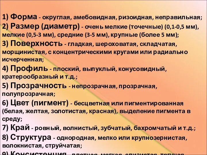 ПЛАН ОПИСАНИЯ КОЛОНИЙ 1) Форма - округлая, амебовидная, ризоидная, неправильная; 2)