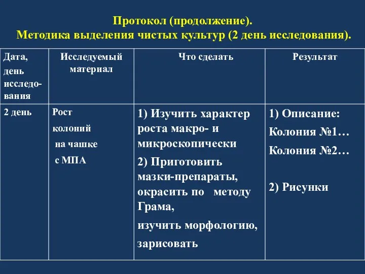 Протокол (продолжение). Методика выделения чистых культур (2 день исследования).