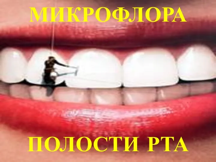 МИКРОФЛОРА ПОЛОСТИ РТА