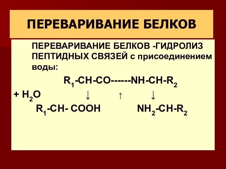 ПЕРЕВАРИВАНИЕ БЕЛКОВ ПЕРЕВАРИВАНИЕ БЕЛКОВ -ГИДРОЛИЗ ПЕПТИДНЫХ СВЯЗЕЙ с присоединением воды: R1-CH-СО------NH-CH-R2
