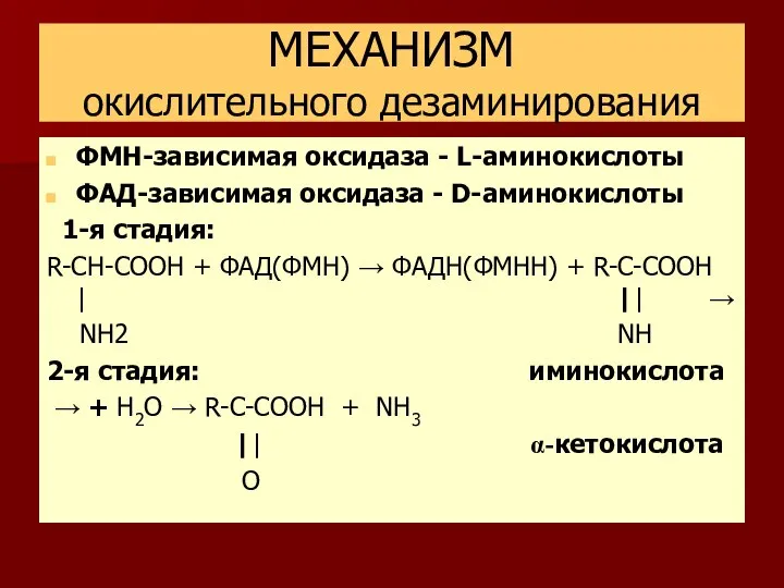 МЕХАНИЗМ окислительного дезаминирования ФМН-зависимая оксидаза - L-аминокислоты ФАД-зависимая оксидаза - D-аминокислоты