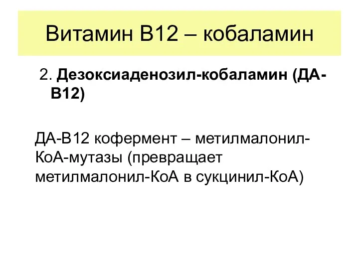 Витамин В12 – кобаламин 2. Дезоксиаденозил-кобаламин (ДА-В12) ДА-В12 кофермент – метилмалонил-КоА-мутазы (превращает метилмалонил-КоА в сукцинил-КоА)