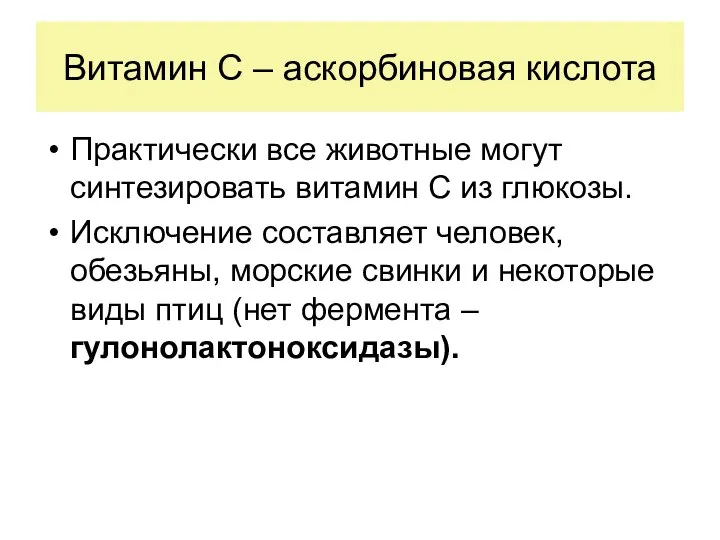 Витамин С – аскорбиновая кислота Практически все животные могут синтезировать витамин