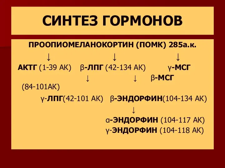 СИНТЕЗ ГОРМОНОВ ПРООПИОМЕЛАНОКОРТИН (ПОМК) 285а.к. ↓ ↓ ↓ АКТГ (1-39 АК)