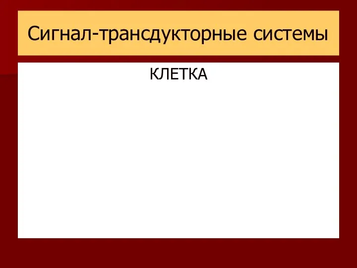 Сигнал-трансдукторные системы КЛЕТКА