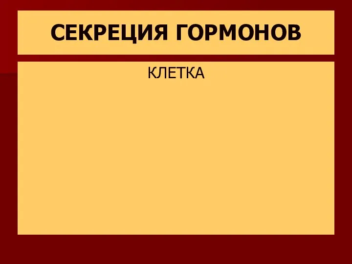 СЕКРЕЦИЯ ГОРМОНОВ КЛЕТКА