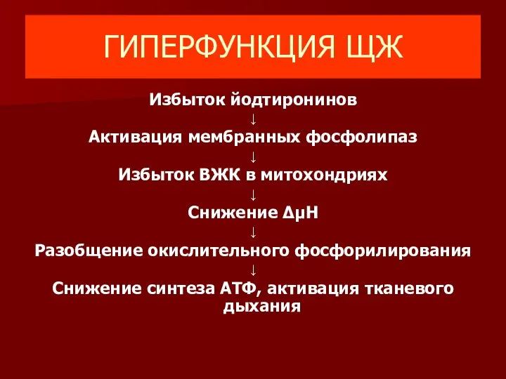 ГИПЕРФУНКЦИЯ ЩЖ Избыток йодтиронинов ↓ Активация мембранных фосфолипаз ↓ Избыток ВЖК