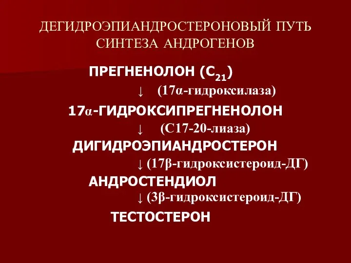 ДЕГИДРОЭПИАНДРОСТЕРОНОВЫЙ ПУТЬ СИНТЕЗА АНДРОГЕНОВ ПРЕГНЕНОЛОН (С21) ↓ (17α-гидроксилаза) 17α-ГИДРОКСИПРЕГНЕНОЛОН ↓ (С17-20-лиаза)