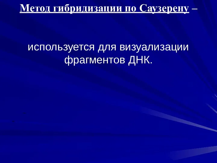 Метод гибридизации по Саузерену – используется для визуализации фрагментов ДНК.