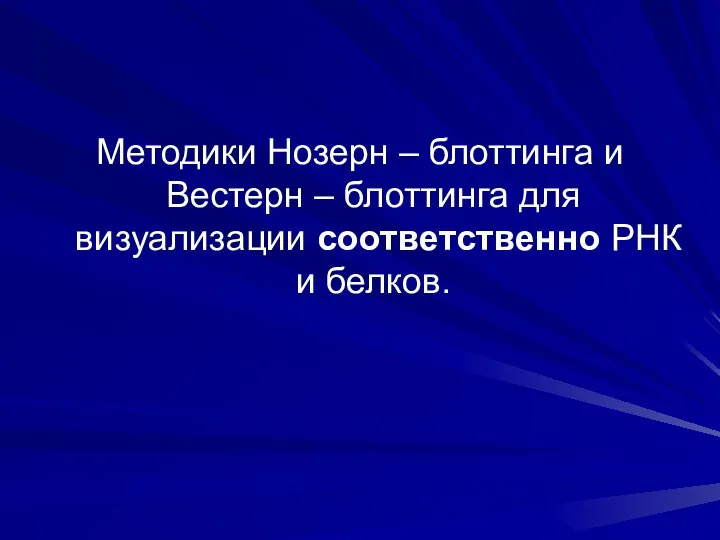 Методики Нозерн – блоттинга и Вестерн – блоттинга для визуализации соответственно РНК и белков.