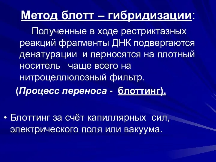 Метод блотт – гибридизации: Полученные в ходе рестриктазных реакций фрагменты ДНК