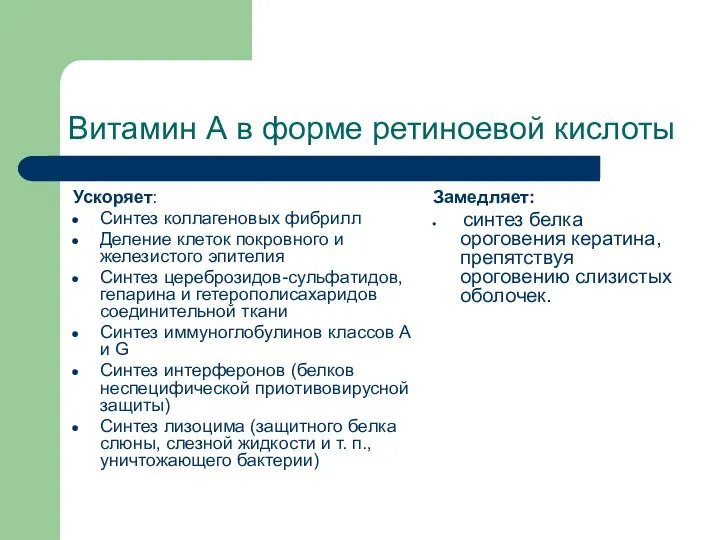 Витамин А в форме ретиноевой кислоты Ускоряет: Синтез коллагеновых фибрилл Деление