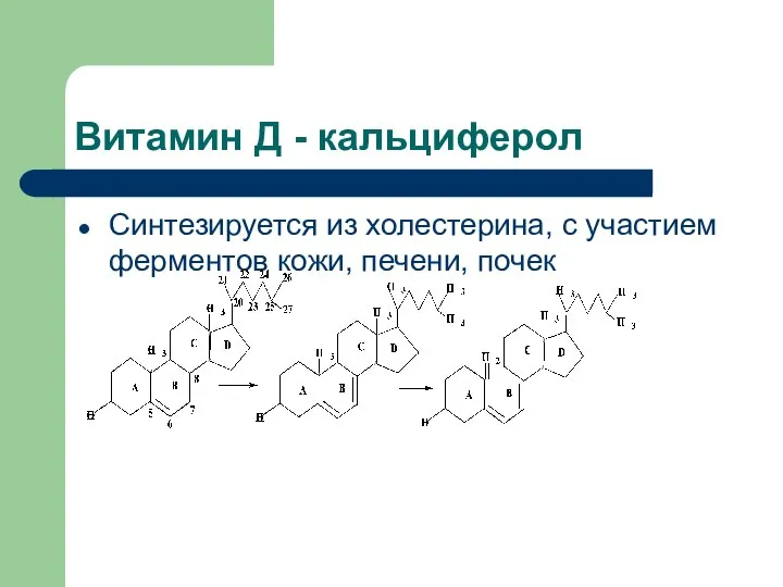 Витамин Д - кальциферол Синтезируется из холестерина, с участием ферментов кожи, печени, почек