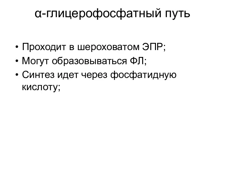 α-глицерофосфатный путь Проходит в шероховатом ЭПР; Могут образовываться ФЛ; Синтез идет через фосфатидную кислоту;