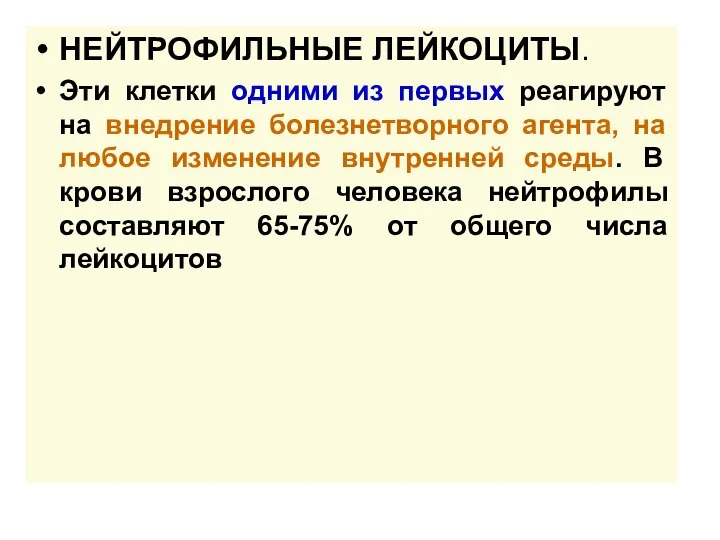 НЕЙТРОФИЛЬНЫЕ ЛЕЙКОЦИТЫ. Эти клетки одними из первых реагируют на внедрение болезнетворного