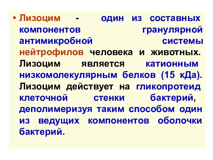 Лизоцим - один из составных компонентов гранулярной антимикробной системы нейтрофилов человека