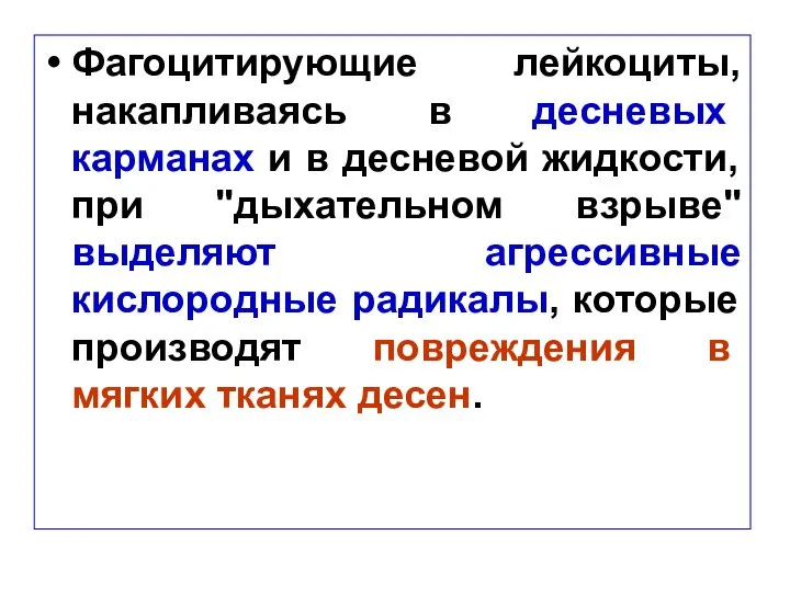 Фагоцитирующие лейкоциты, накапливаясь в десневых карманах и в десневой жидкости, при