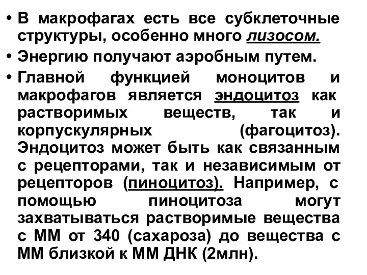 В макрофагах есть все субклеточные структуры, особенно много лизосом. Энергию получают