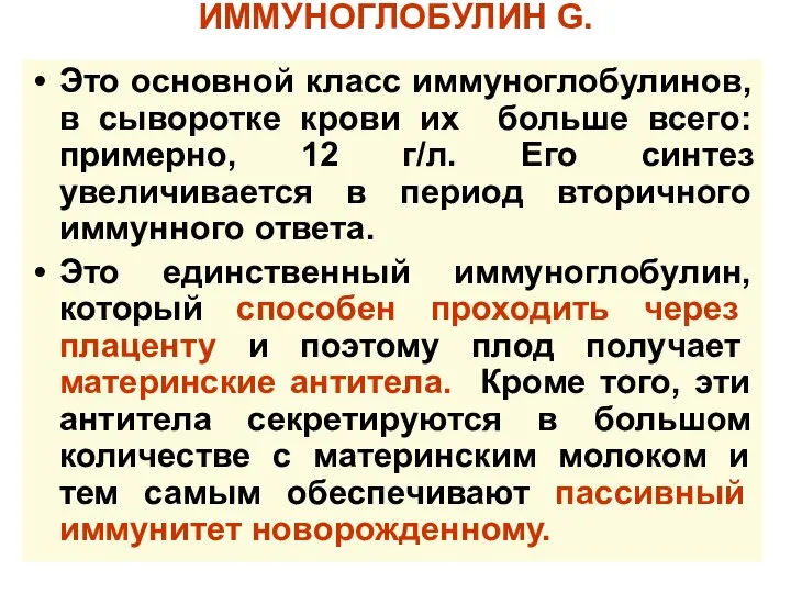 ИММУНОГЛОБУЛИН G. Это основной класс иммуноглобулинов, в сыворотке крови их больше