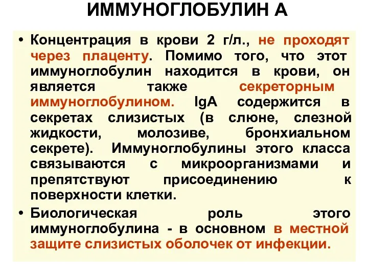 ИММУНОГЛОБУЛИН А Концентрация в крови 2 г/л., не проходят через плаценту.