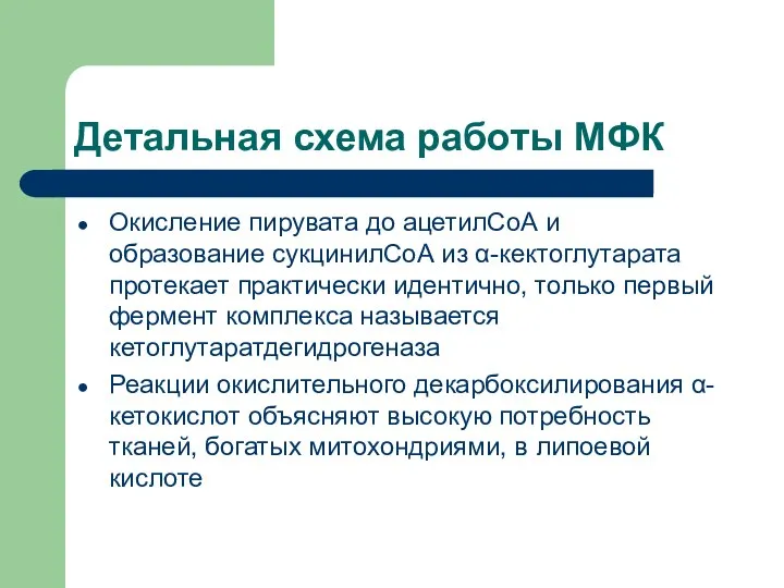 Детальная схема работы МФК Окисление пирувата до ацетилСоА и образование сукцинилСоА