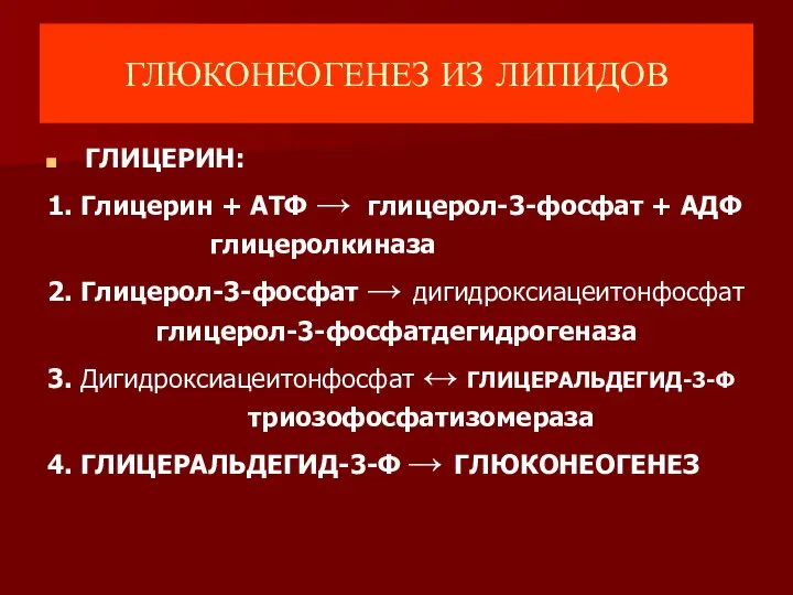 ГЛЮКОНЕОГЕНЕЗ ИЗ ЛИПИДОВ ГЛИЦЕРИН: 1. Глицерин + АТФ → глицерол-3-фосфат +