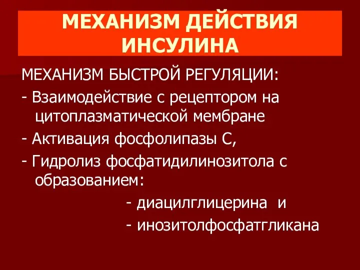 МЕХАНИЗМ ДЕЙСТВИЯ ИНСУЛИНА МЕХАНИЗМ БЫСТРОЙ РЕГУЛЯЦИИ: - Взаимодействие с рецептором на