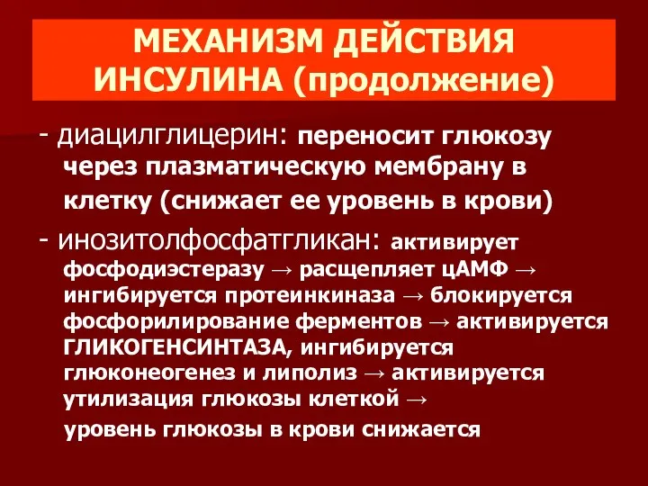 МЕХАНИЗМ ДЕЙСТВИЯ ИНСУЛИНА (продолжение) - диацилглицерин: переносит глюкозу через плазматическую мембрану