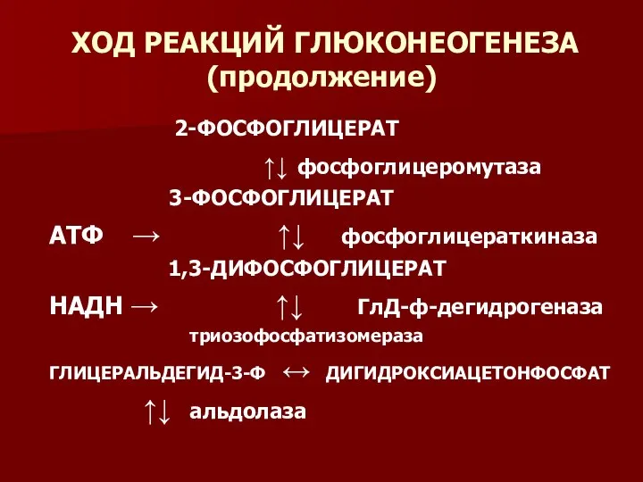 ХОД РЕАКЦИЙ ГЛЮКОНЕОГЕНЕЗА (продолжение) 2-ФОСФОГЛИЦЕРАТ ↑↓ фосфоглицеромутаза 3-ФОСФОГЛИЦЕРАТ АТФ → ↑↓